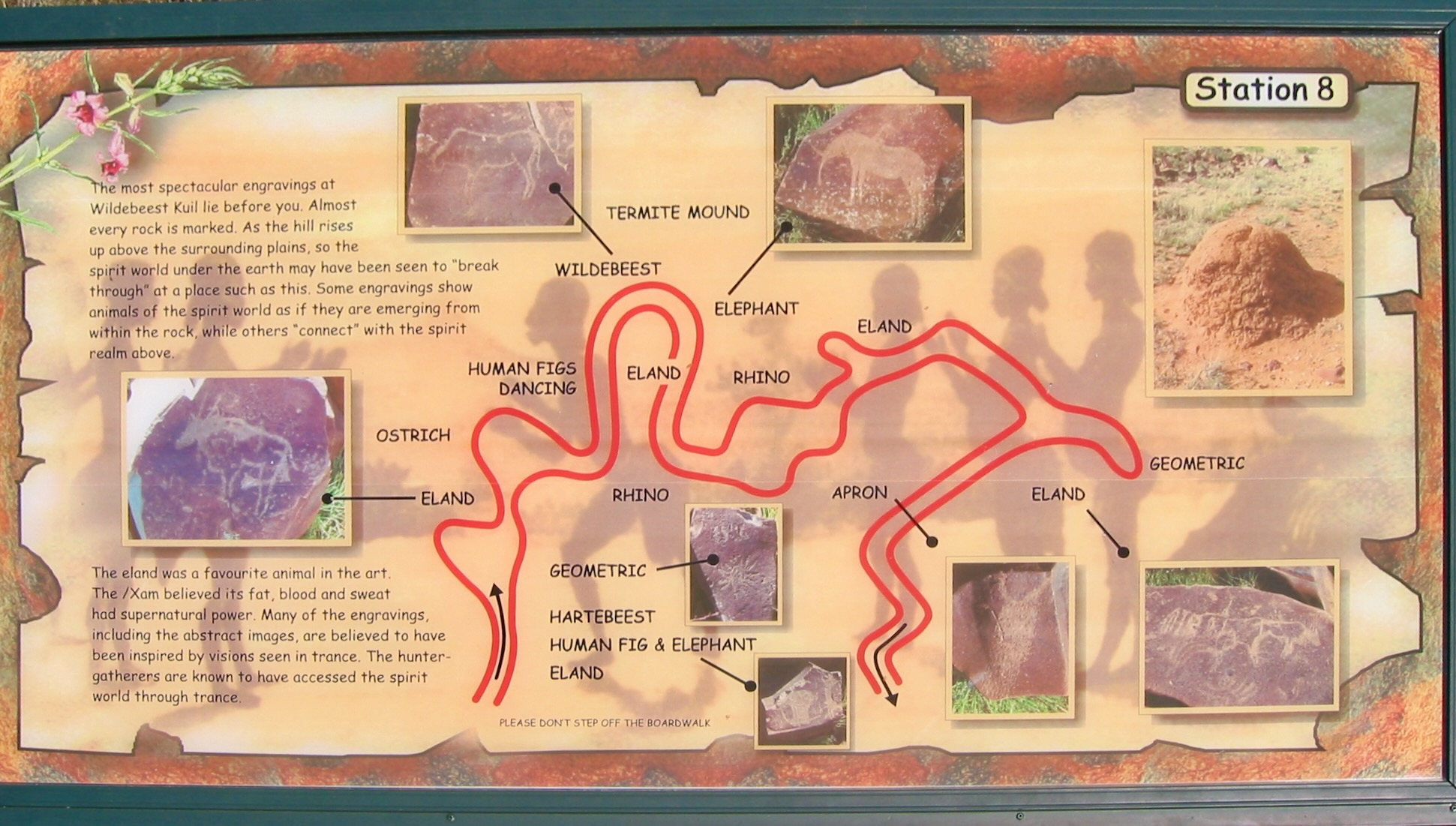 Walking route at Wildebeest Kuil