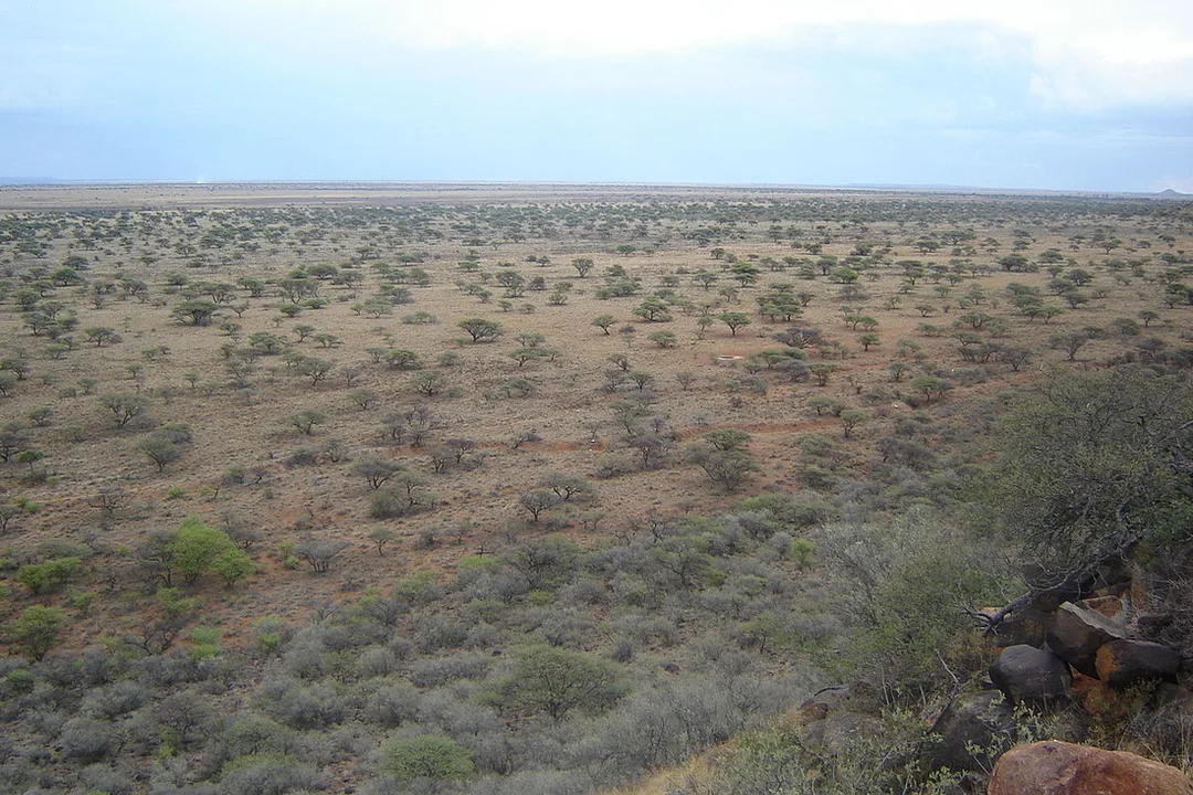 The Boer trenches are still visible at the bottom of the kopje.