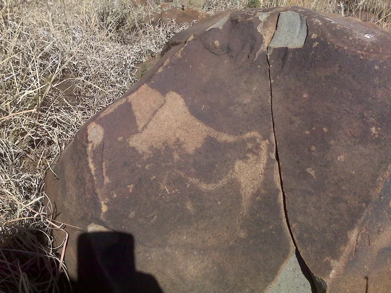 Animal animals emerging from within the rock