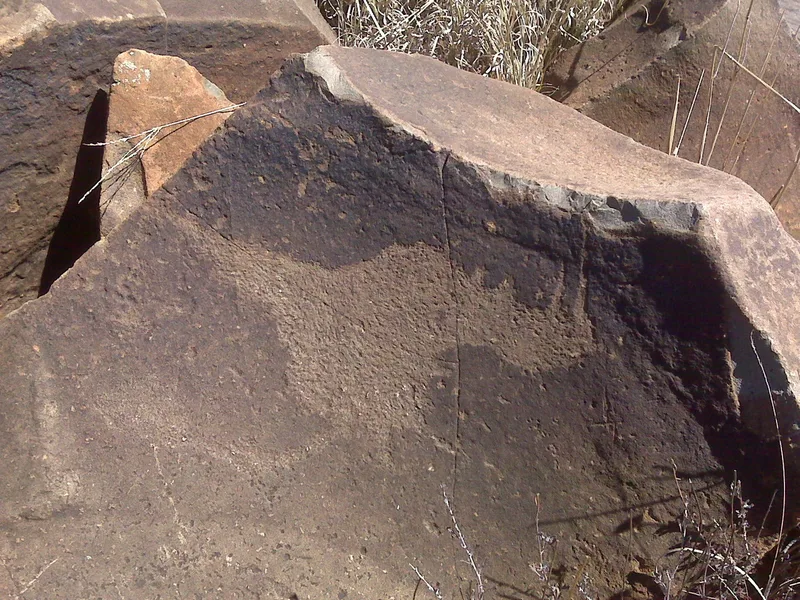 Rock art rhinoceros