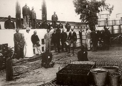 During the Siege of Kimberley horse meat was used to make soup