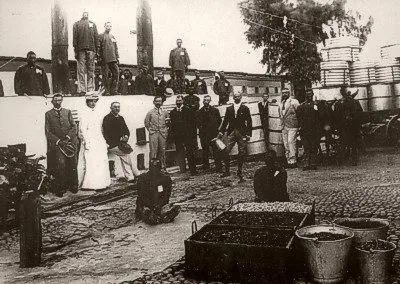 Image description