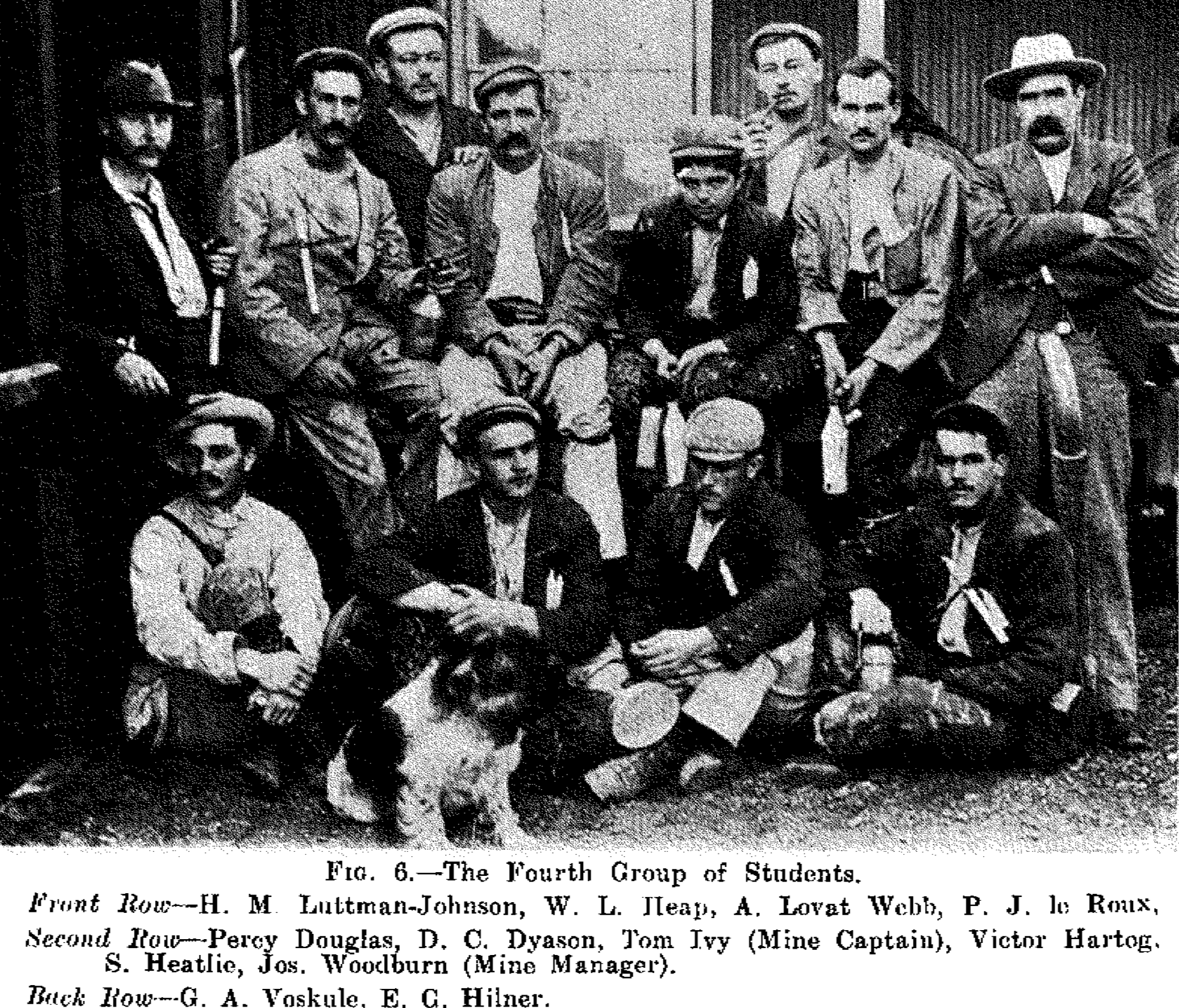 Image description