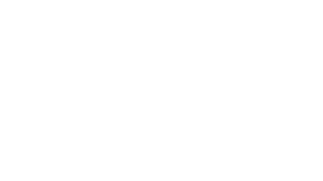 The Solomon animated logo